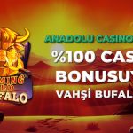 Anadolu Casino Giriş, Anadolu Casino Yeni Adres